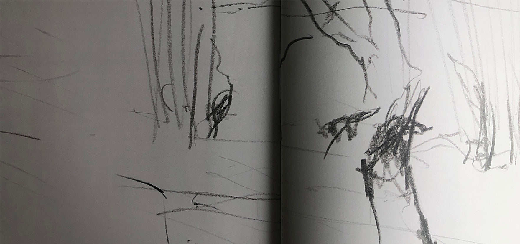 Blyantsskitse af natur i en bog, Peter Ejlerskov kunst på Bogopslag 02.