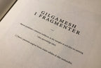 Gilgamesh i Fragmenter - Peter Ejlerskov