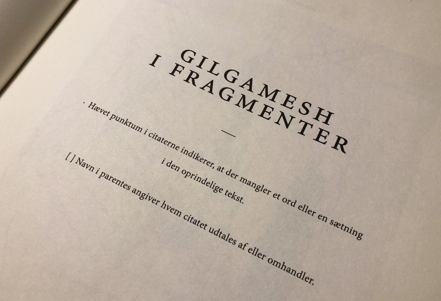 Gilgamesh i Fragmenter - Peter Ejlerskov
