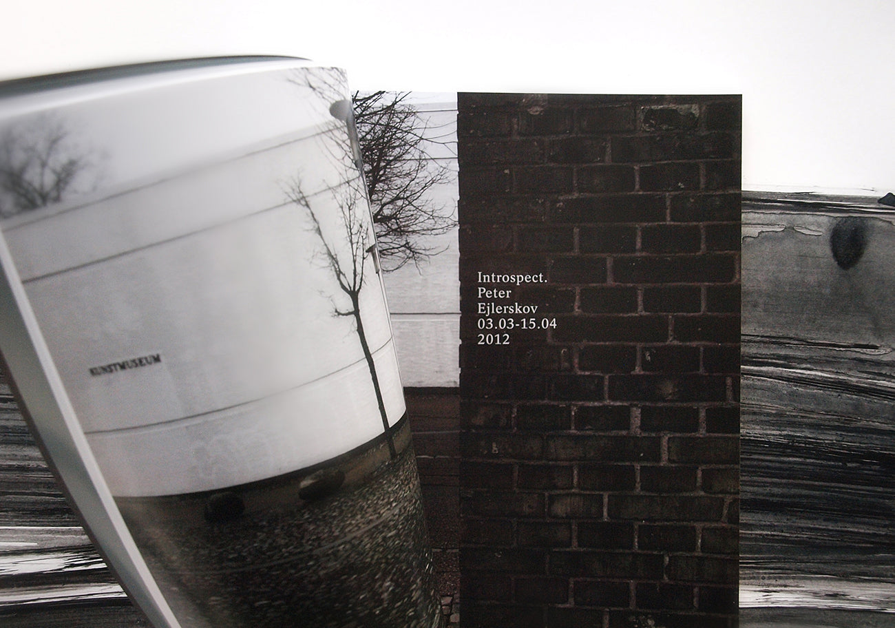 Udstillingskatalog med kunst af Peter Ejlerskov, Introspect 2012
