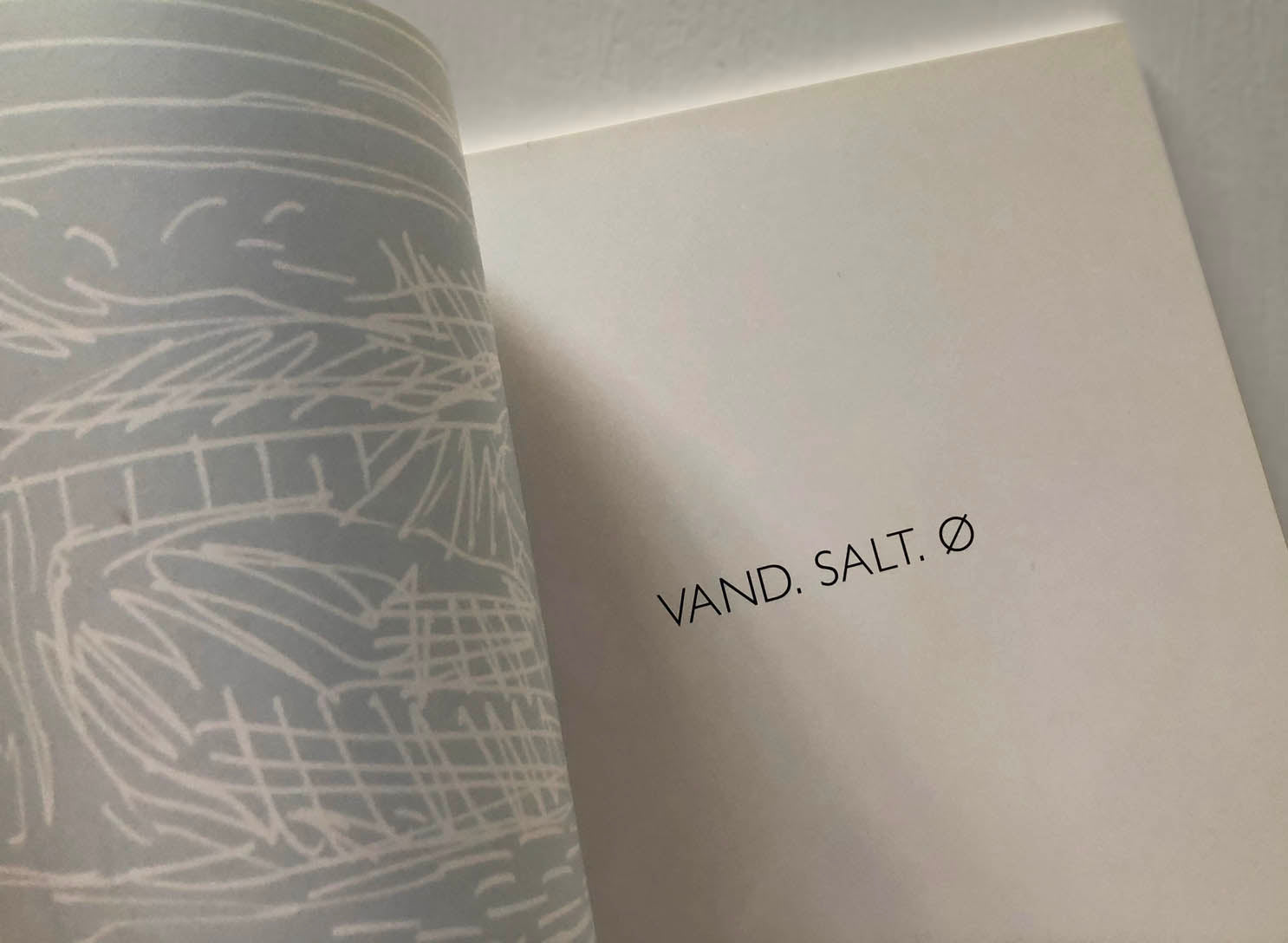 Peter Ejlerskov kunstbog LAESO med teksten Vand Salt Ø