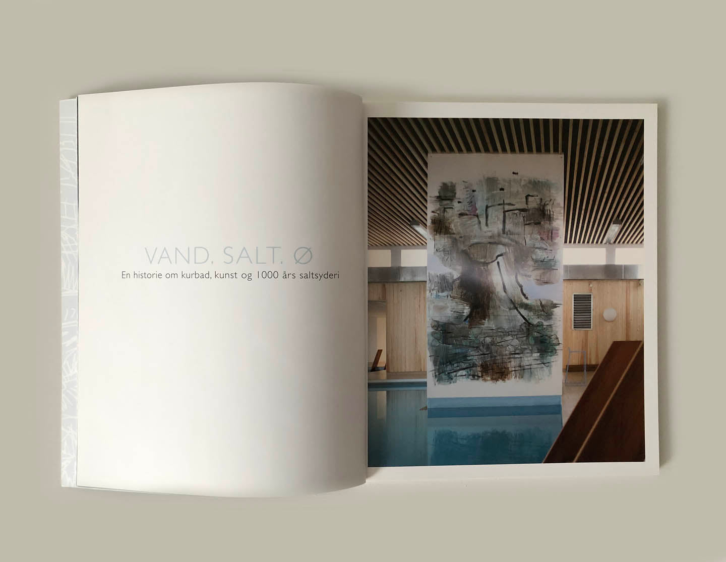 Bog om Læsø med kunst af Peter Ejlerskov, herunder et maleri ved kurbadets pool.