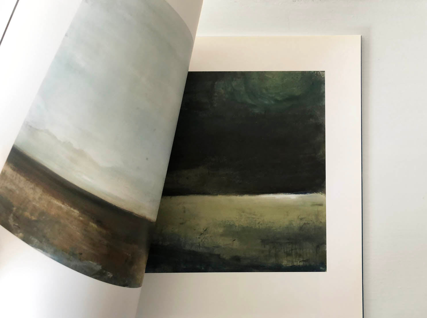 Abstrakte landskabsmalerier i en kunstbog af Peter Ejlerskov.