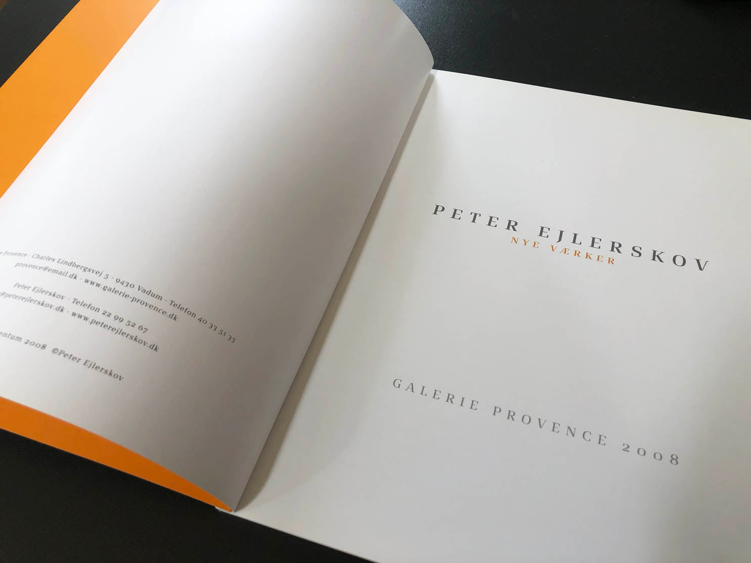 Peter Ejlerskov kunstbog med titlen Nye Værker fra Galerie Provence 2008