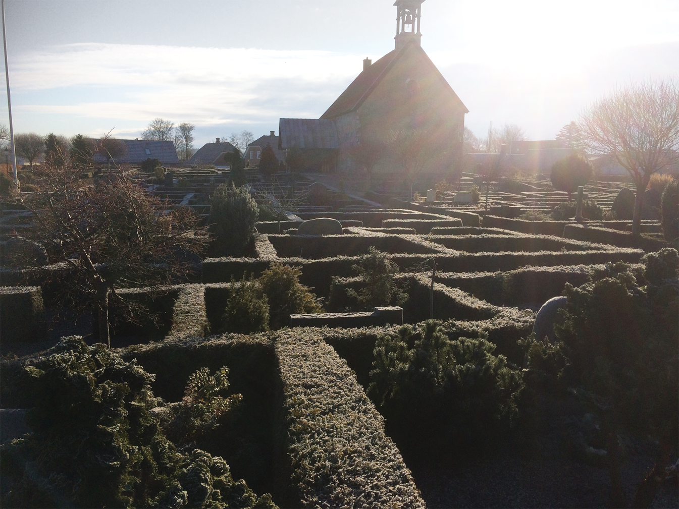 Kirkeudsmykning af Mammen Kirke - Rimfrost på kirkegårdens hække i modlys, Peter Ejlerskov.