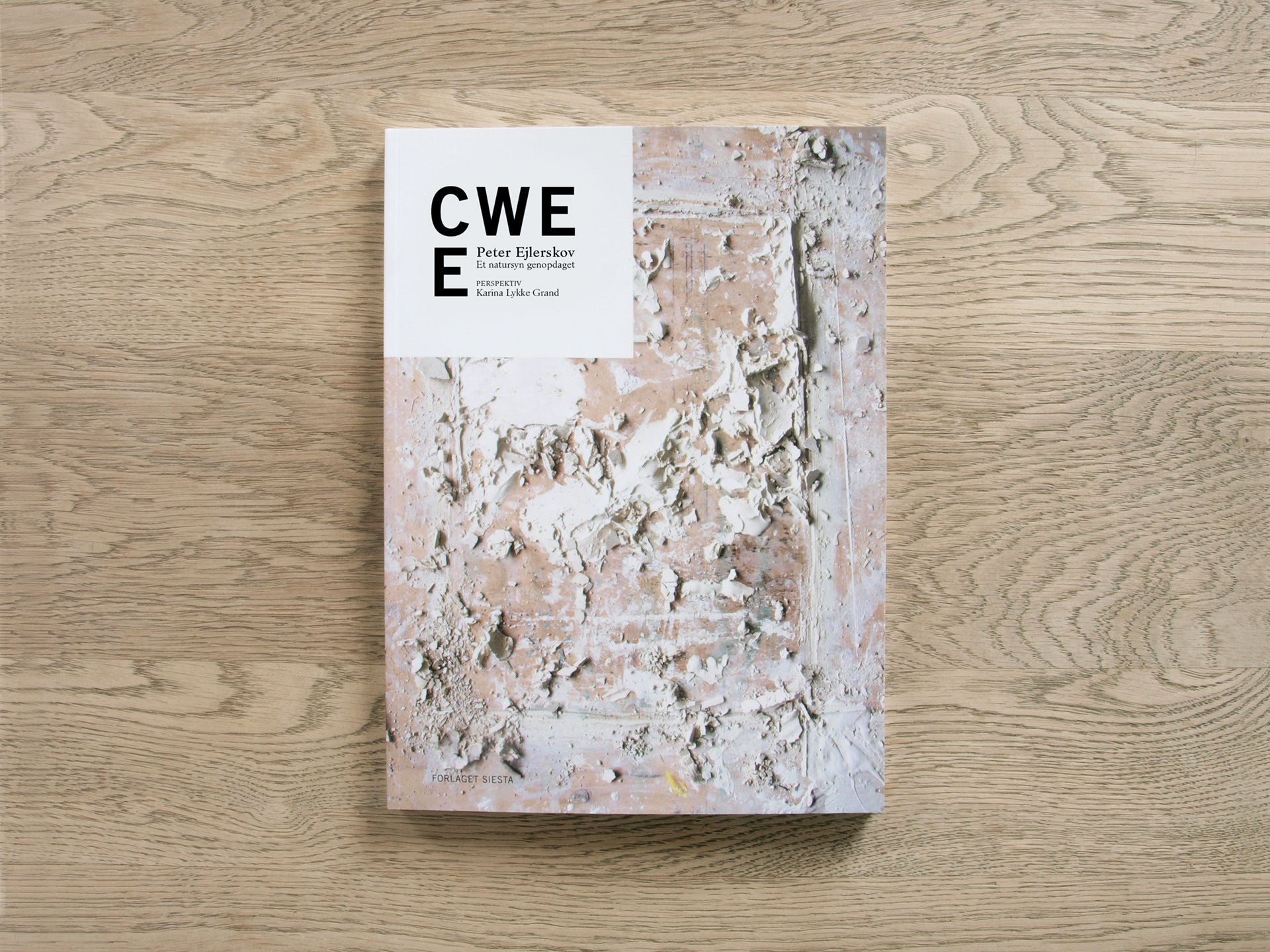 CWE E - Peter Ejlerskov