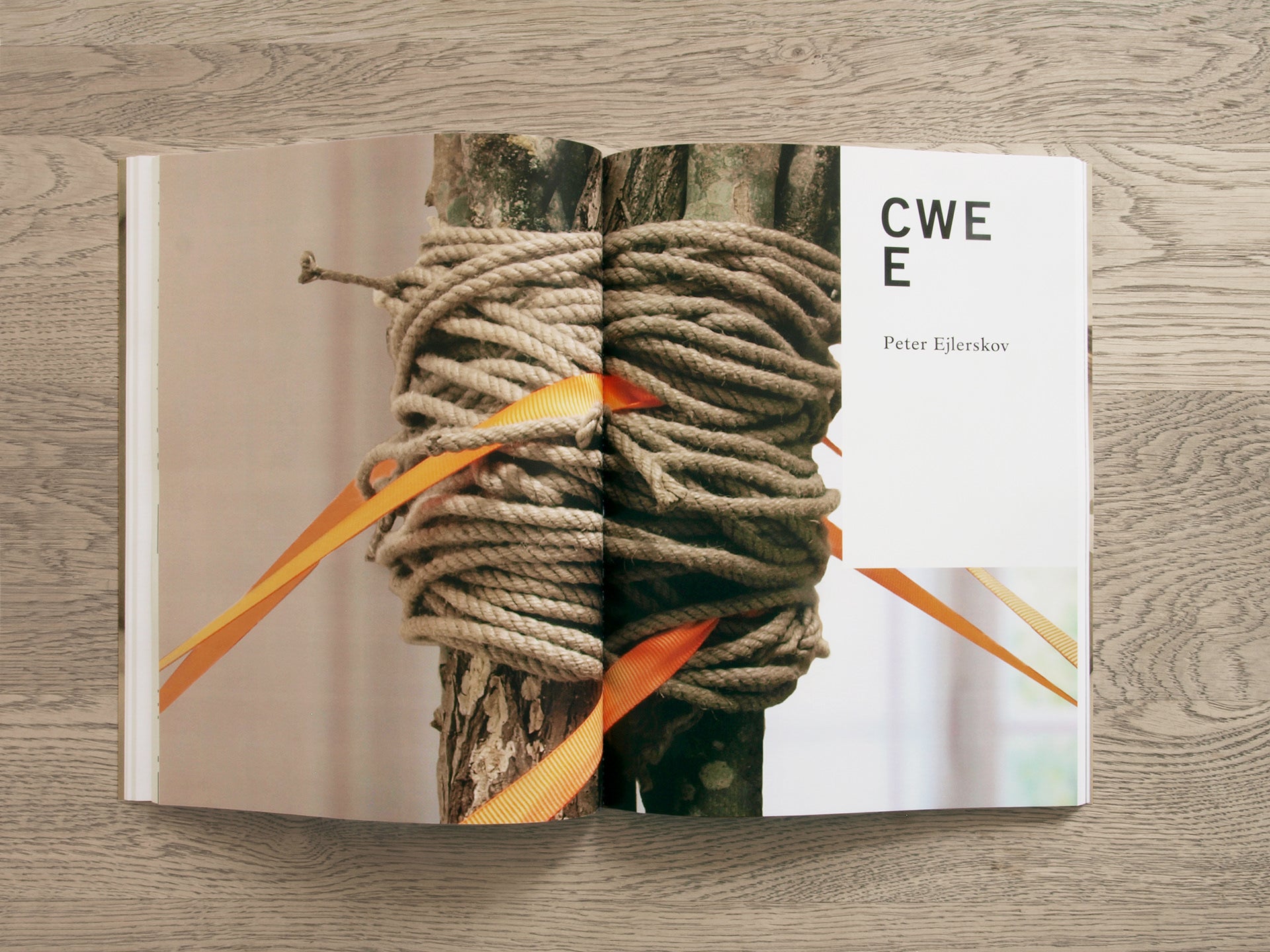 CWE E - Peter Ejlerskov