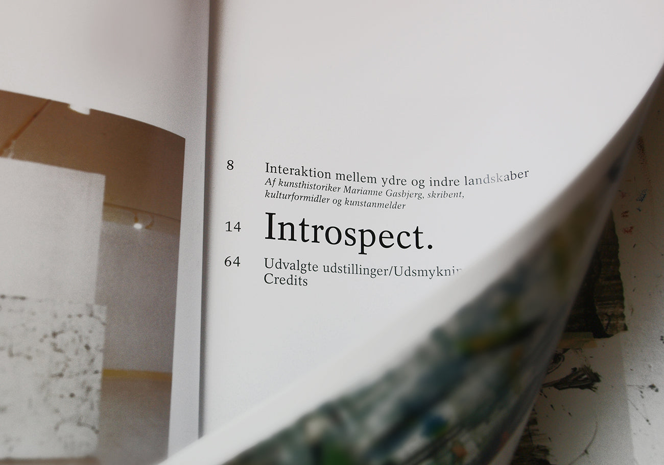 Peter Ejlerskov - Kunst - uddrag af bog - Introspect